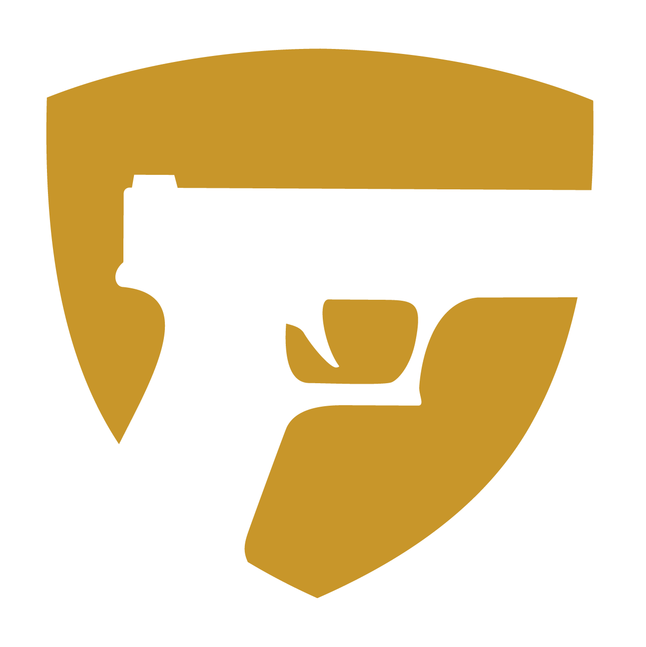 GunVault