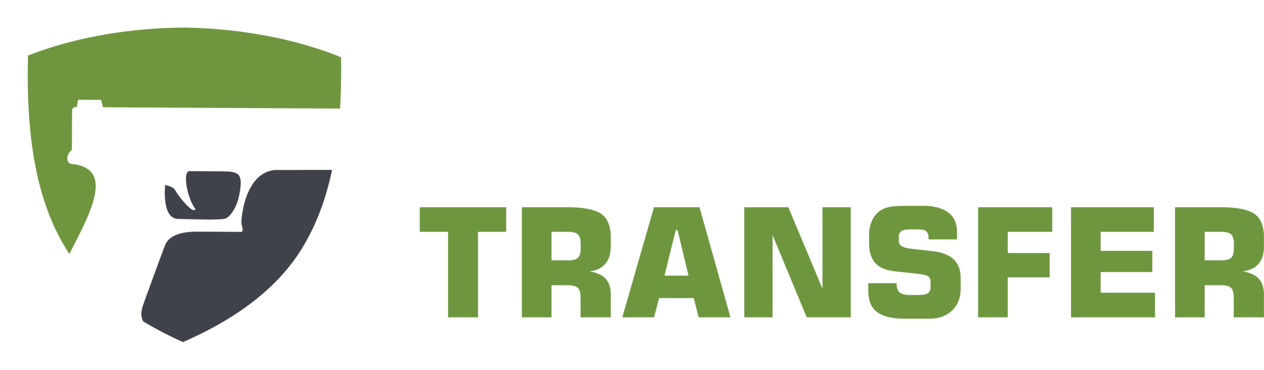 GunTransfer